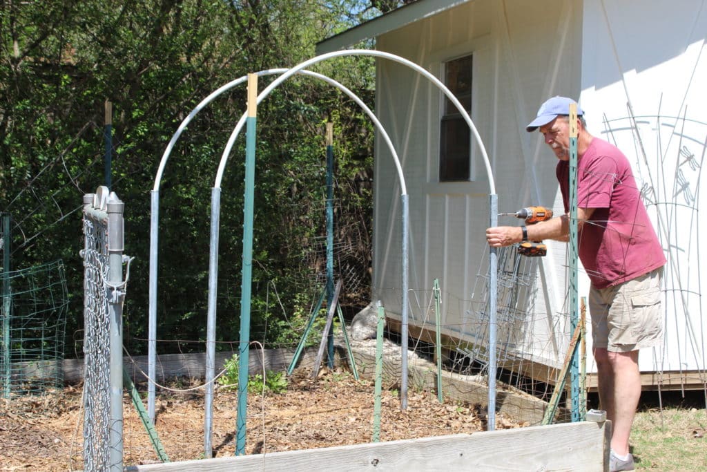 building and assembly of garden trellis in garden area with the contractor.