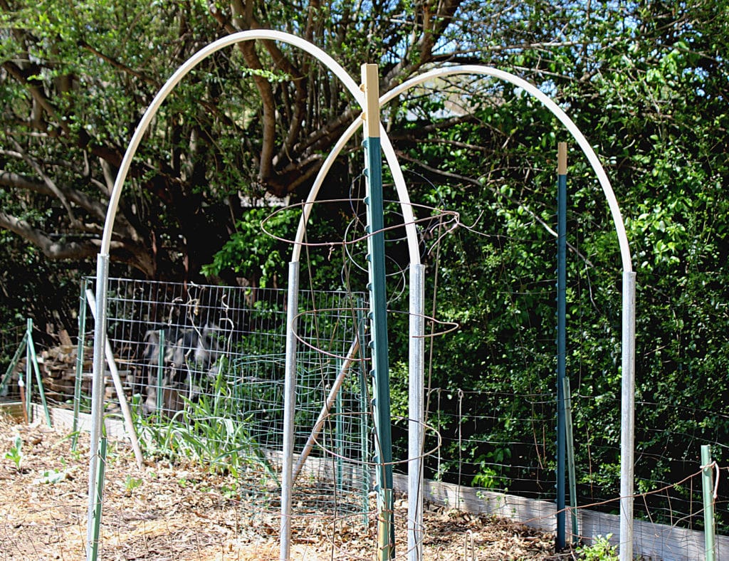 Basic trellis structure being built set in garden area.