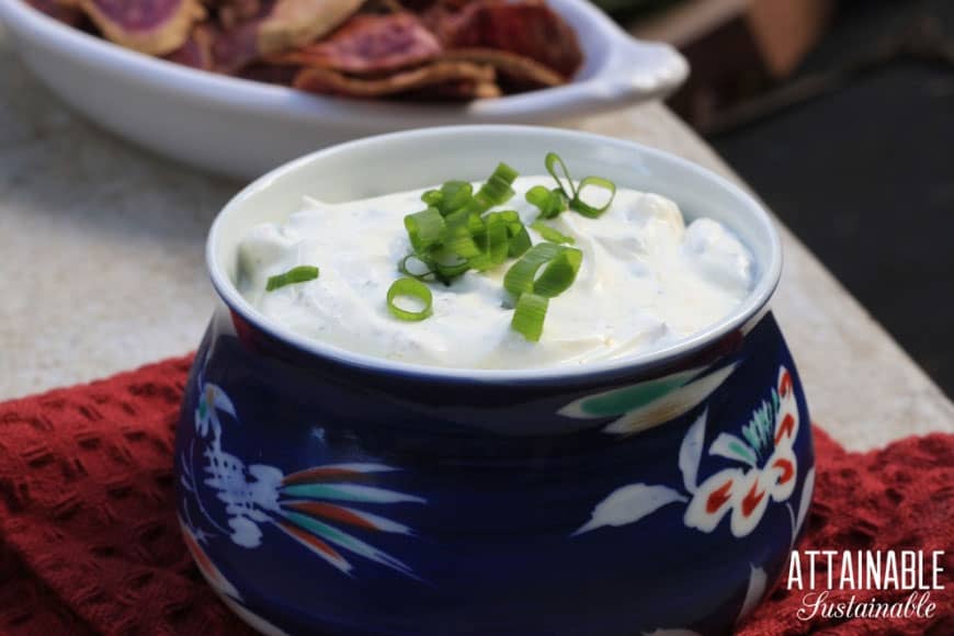 Green Onion dip in a blue flower bowl on a red tea towel.