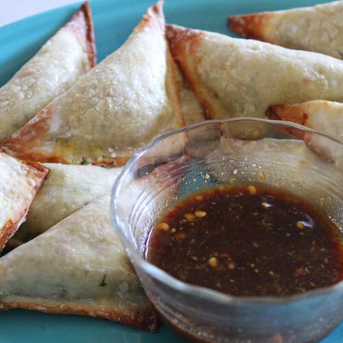 close up of spicy krab wonton with sweet mustard sauce