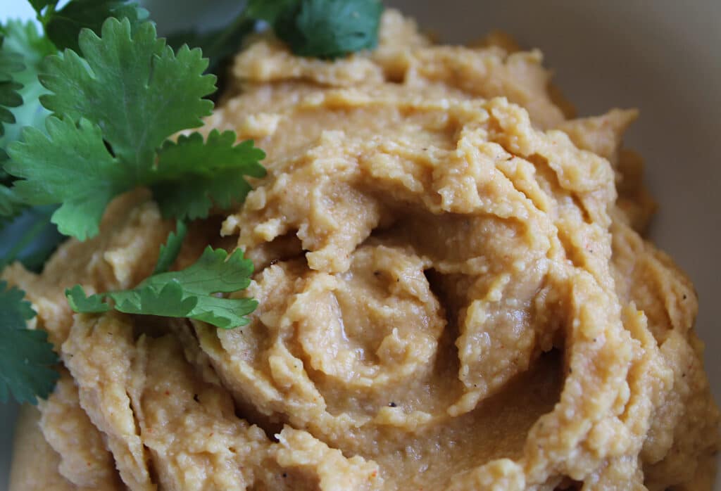 up close plain homemade hummus with cilantro leaves