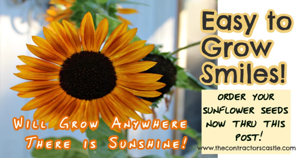 facebook easy to grow smiles post cover