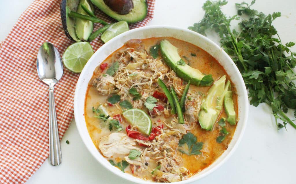 Simple Crockpot Mexican Chicken Soup & Soft Taco Filling