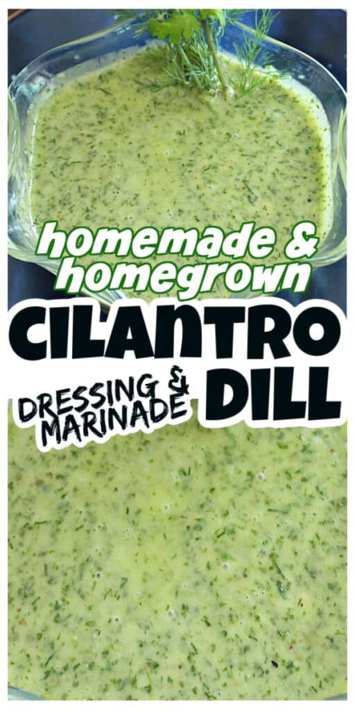 close up views of cilantro dill marinade