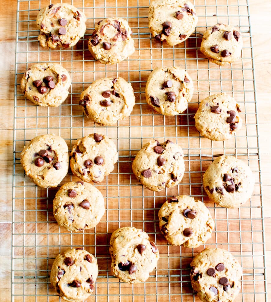 fresh out of the oven pumpkin chocolate chip cookies on a cooling rack