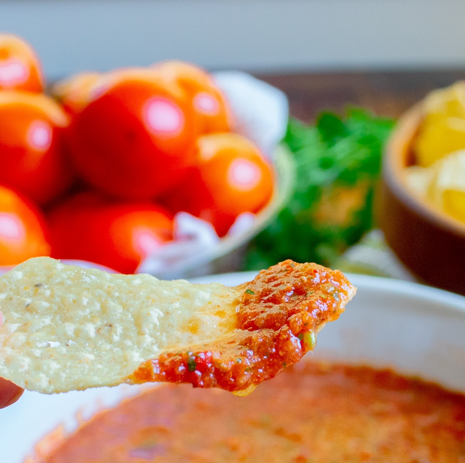 closeup up of homemade salsa on a chip.