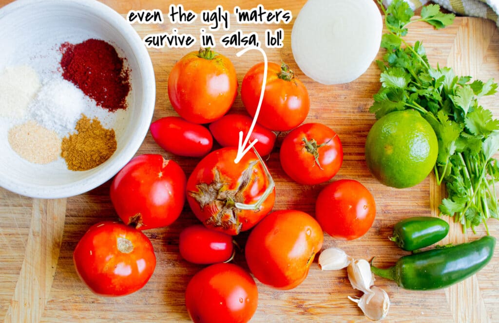 Fresh garden salsa ingredients and spices.