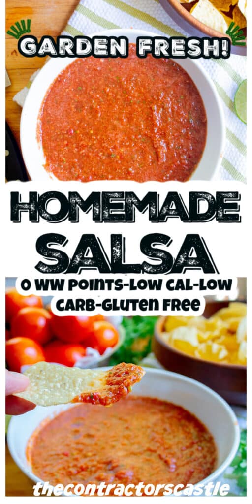 pinterest pin for salsa