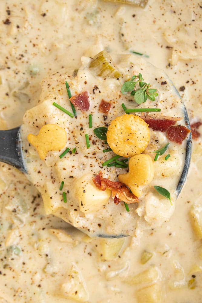 ladle full of clam chowder.