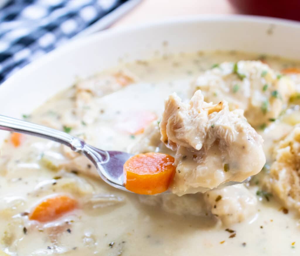 close up of chicken and dumplings on a  spoon